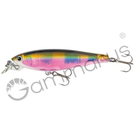 YO-ZURI F686-OK 3D MINNOW (SP) 70