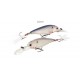 YO-ZURI R1018-CGSH SASHIMI SHAD FW 70